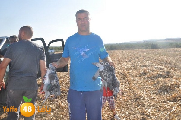 7amam lud monir 908 (26).JPG